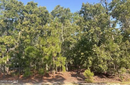 180 Longleaf Dr, Seven Lakes, NC, 27376 | Card Image
