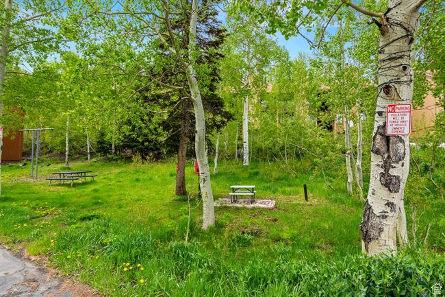 View of yard | Image 23