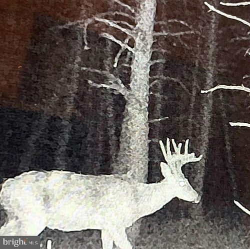 Lot 277 Black Oak Dr, MOOREFIELD, WV, 26836 | Card Image