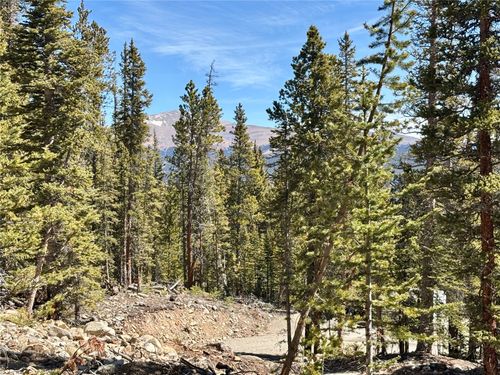 313 Porcupine Road, Fairplay, CO, 80440 | Card Image