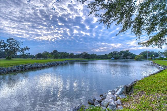UNIT-506 - 2616 Cove Cay Dr, Condo with 1 bedrooms, 2 bathrooms and null parking in CLEARWATER FL | Image 90
