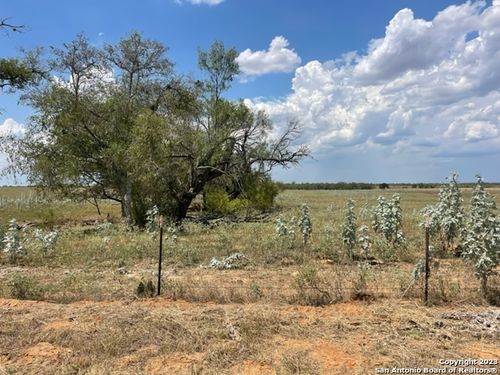 843 County Road 232, Floresville, TX, 78114 | Card Image