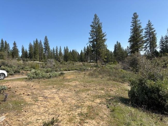 19292 Shawnee Trl, Home with 0 bedrooms, 0 bathrooms and null parking in Mokelumne Hill CA | Image 45