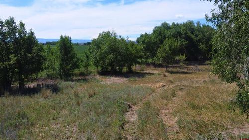 TBD Linn Ave, Hotchkiss, CO, 81419 | Card Image