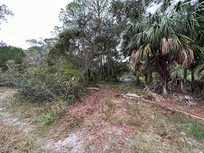 5 Lots Ingleside Pl, Home with 0 bedrooms, 0 bathrooms and null parking in Cedar Key FL | Image 7