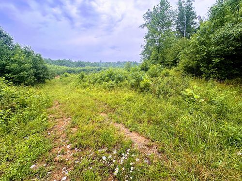 13.44 Ac Chestnut Ridge Rd, Allardt, TN, 38504 | Card Image