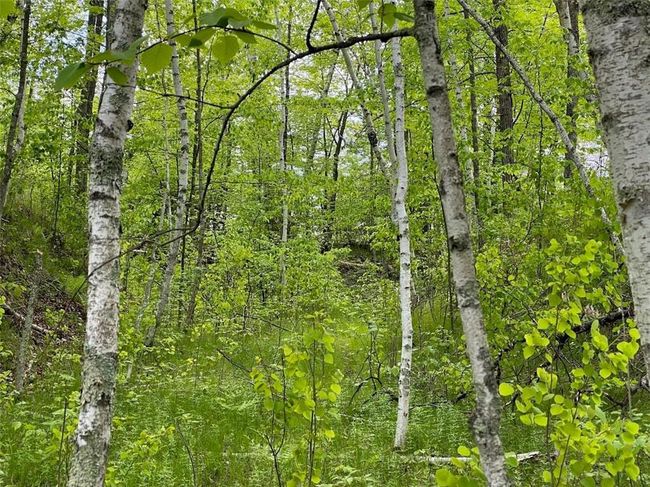 0 Hustvet Dr, Home with 0 bedrooms, 0 bathrooms and null parking in Trego WI | Image 9