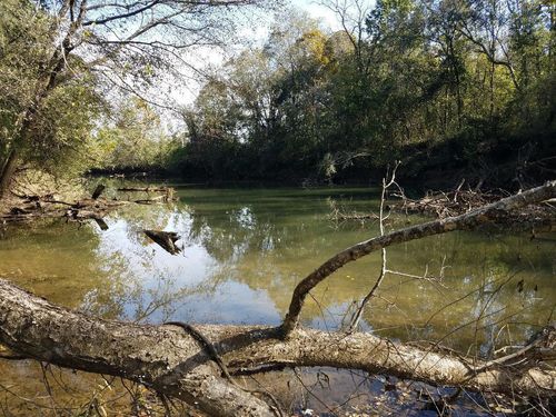 975 S Magnolia Ave, Whitwell, TN, 37397-5269 | Card Image