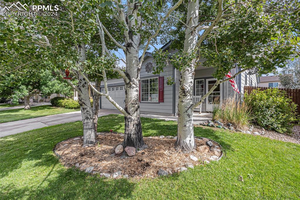Bonnie Brae Ln, Colorado Springs, CO 80922