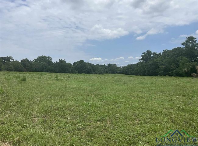 Tract 2 Cr 2314, Home with 0 bedrooms, 0 bathrooms and null parking in Pittsburg TX | Image 10