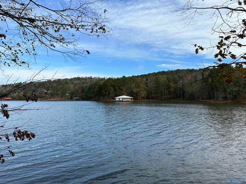 Lot 19 Mohawk Cliff Rd, Ohatchee, AL, 36271 | Card Image