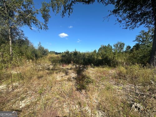 0 Waynesboro Hwy, Sylvania, GA, 30467 | Card Image