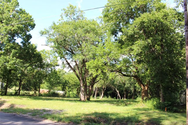 View of yard | Image 8