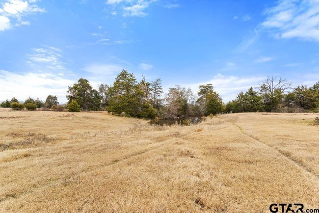 15037 State Highway 110, Home with 0 bedrooms, 0 bathrooms and null parking in Van TX | Image 38