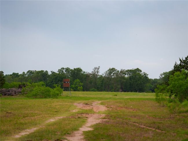 View of road with a rural view and a wooded view | Image 23