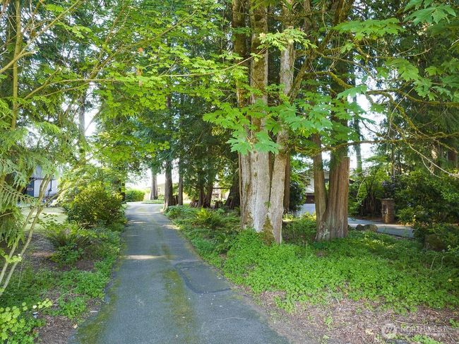 Beautiful treelined entry offers privacy. | Image 22