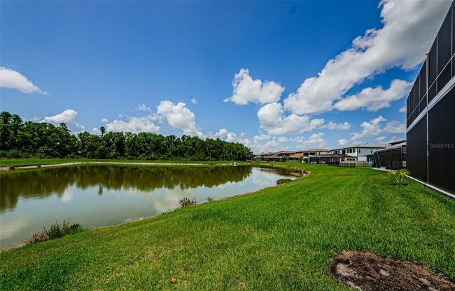 29038 Picana Ln, House other with 4 bedrooms, 4 bathrooms and null parking in WESLEY CHAPEL FL | Image 94