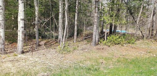 000 Burnstown Rd, White Lake, ON, K0A3L0 | Card Image