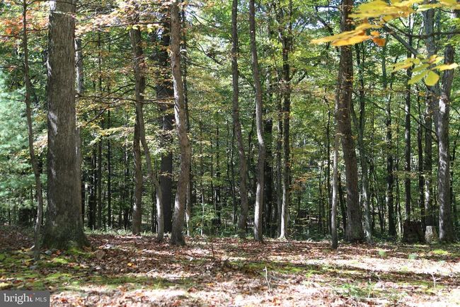 200 Rock Creek Trl, House other with 2 bedrooms, 1 bathrooms and null parking in RIO WV | Image 7