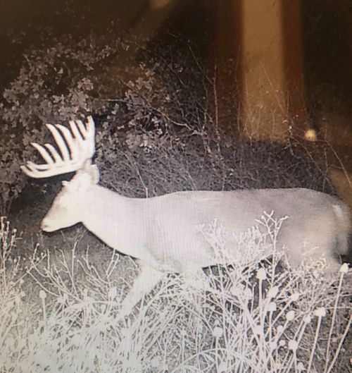 TBD County Road 434, Cross Plains, TX, 76443 | Card Image