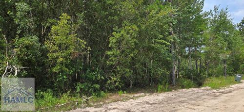 7.56 Acr Maple Rd Ne, Ludowici, GA, 31316 | Card Image