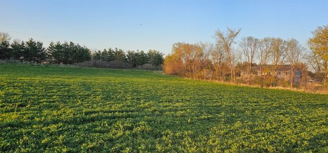 61 Timberline Dr, Home with 0 bedrooms, 0 bathrooms and null parking in Riverside IA | Image 10