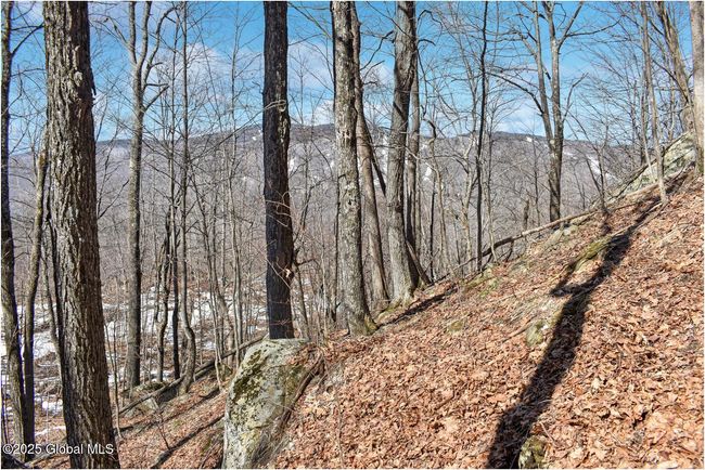 48 Durkin Rd, Home with 0 bedrooms, 0 bathrooms and null parking in North Creek NY | Image 43