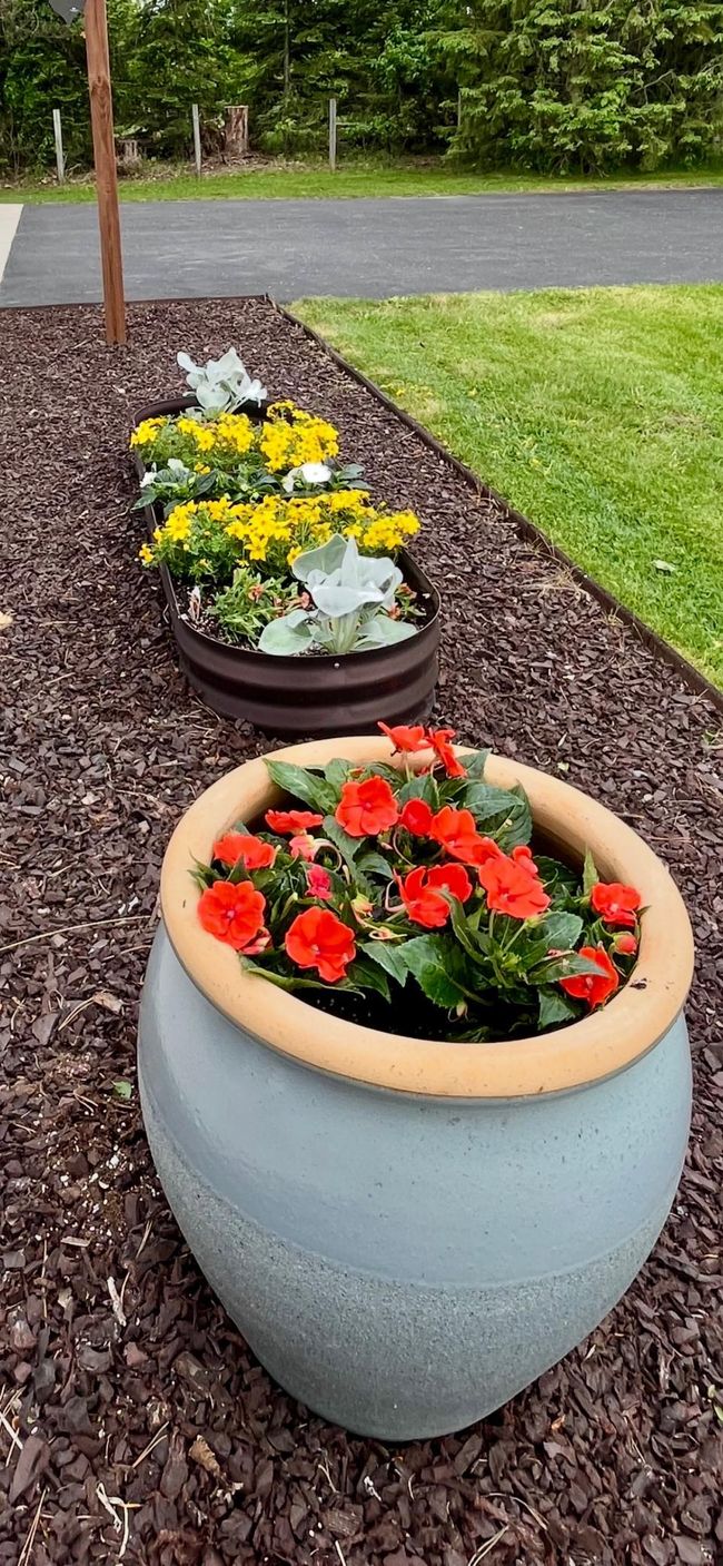 Flowers along the drive/walkway | Image 55