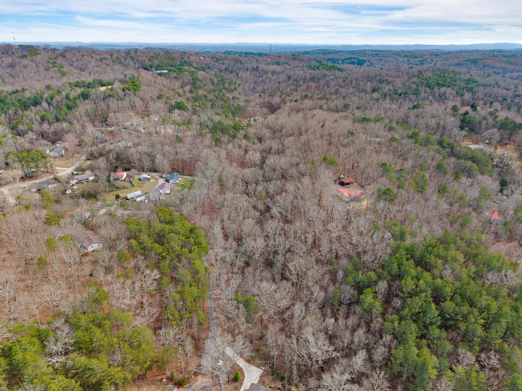 Land in Rossville 5