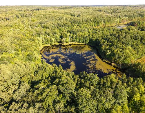 Parcel 3 West Y Rd, Exeland, WI, 54835 | Card Image