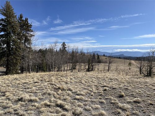 325 Shoshone Dr, Como, CO, 80456 | Card Image