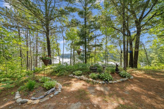 1176 Mccomb Point Dr, House other with 3 bedrooms, 3 bathrooms and 6 parking in Dorset ON | Image 39