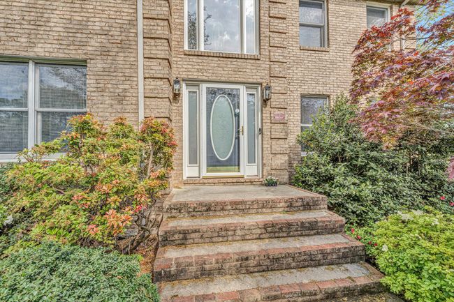 Entry_58_Dove | Image 5