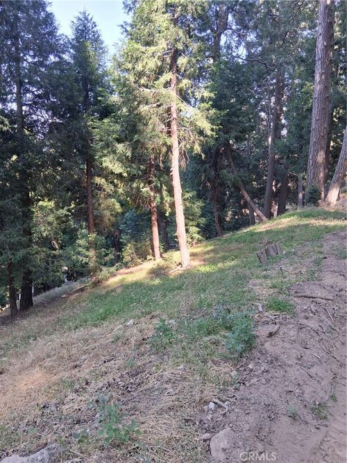 61 Evergreen Dr, Cedarpines Park, CA, 92322 | Card Image