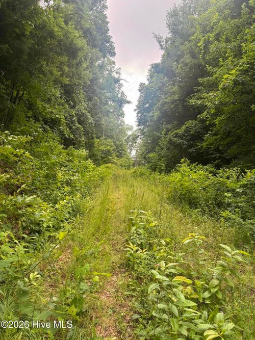 78 Pitch Pine Dr, Sylva, NC, 28779 | Card Image