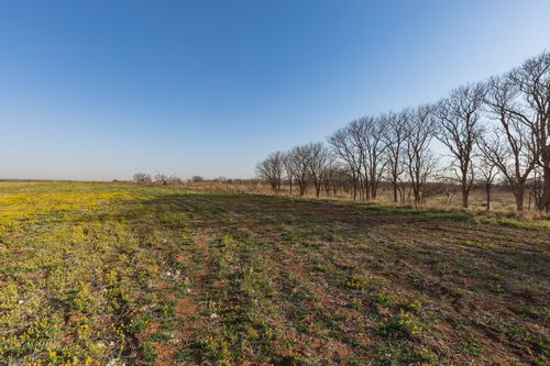 TBD County Road 262, Mc Caulley, TX, 79534 | Card Image