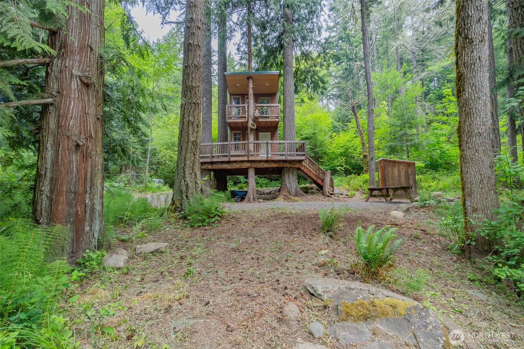 Land in Rainier 5