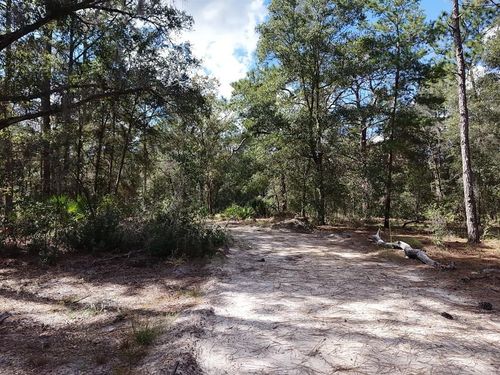 7416 N Nathan Pt, CRYSTAL RIVER, FL, 34428-9647 | Card Image