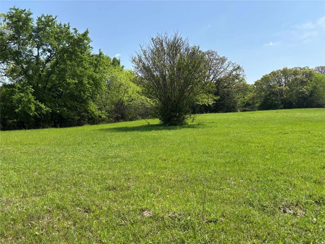 View of yard | Image 4