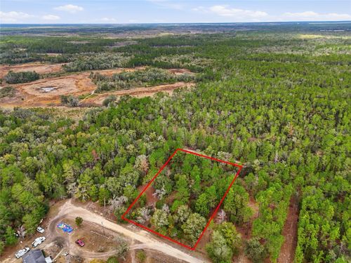 00 Ne 111th Ln, Bronson, FL, 32621 | Card Image