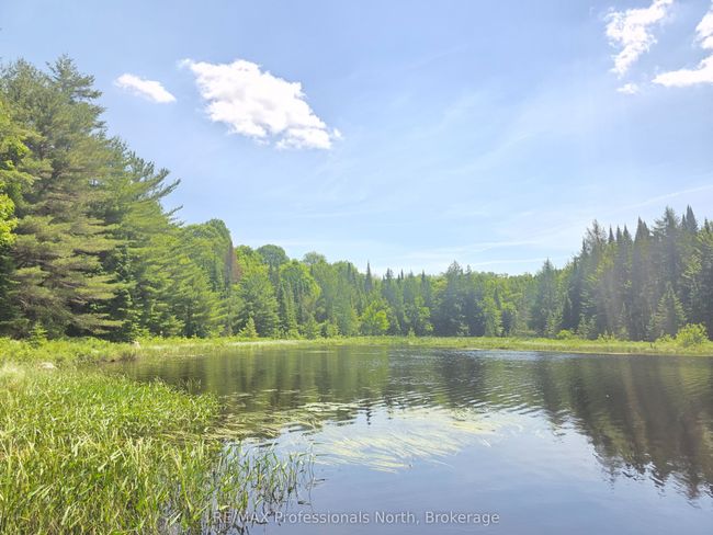 1134 Walker Line Rd, Home with 0 bedrooms, 0 bathrooms and null parking in Algonquin Highlands ON | Image 6