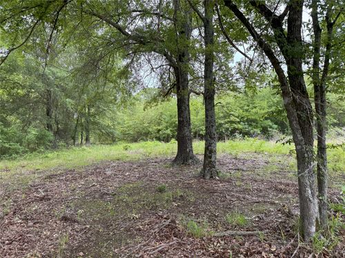 LOT 25 Rains County Road 2610, Alba, TX, 75410 | Card Image