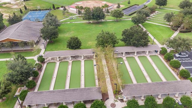 Bocce Ball | Image 19
