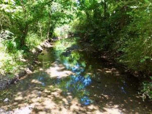 TBD Tickle Lane & Greenville Rd, Havana, AR, 72842 | Card Image