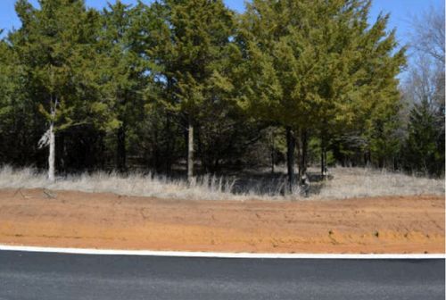 60 Timber Bank Dr, Gordonville, TX, 76245 | Card Image