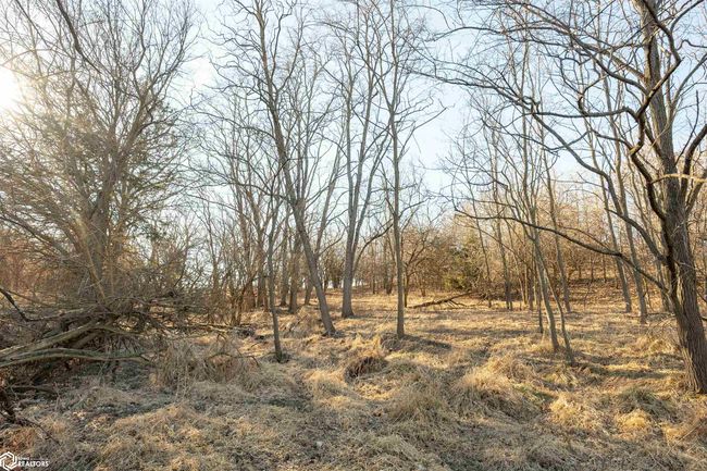 26043 Nuthatch Ave, Home with 0 bedrooms, 0 bathrooms and null parking in Bloomfield IA | Image 52