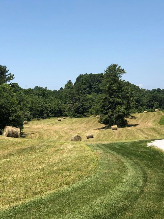 183 Hurricane Ridge Rd, House other with 4 bedrooms, 5 bathrooms and 3 parking in Meadows of Dan VA | Image 84