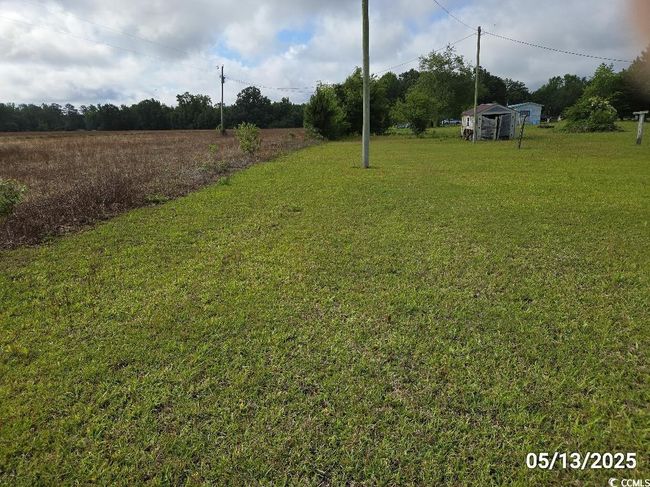 View of grassy yard | Image 10