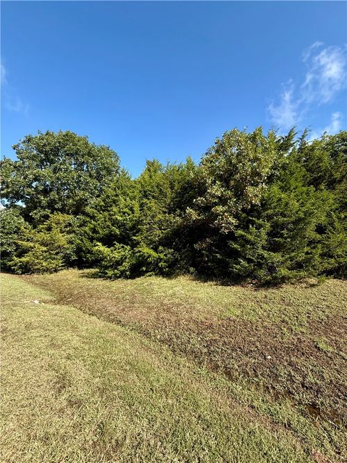 Lot 60 Lodge Drive, Garfield, AR, 72732 | Card Image