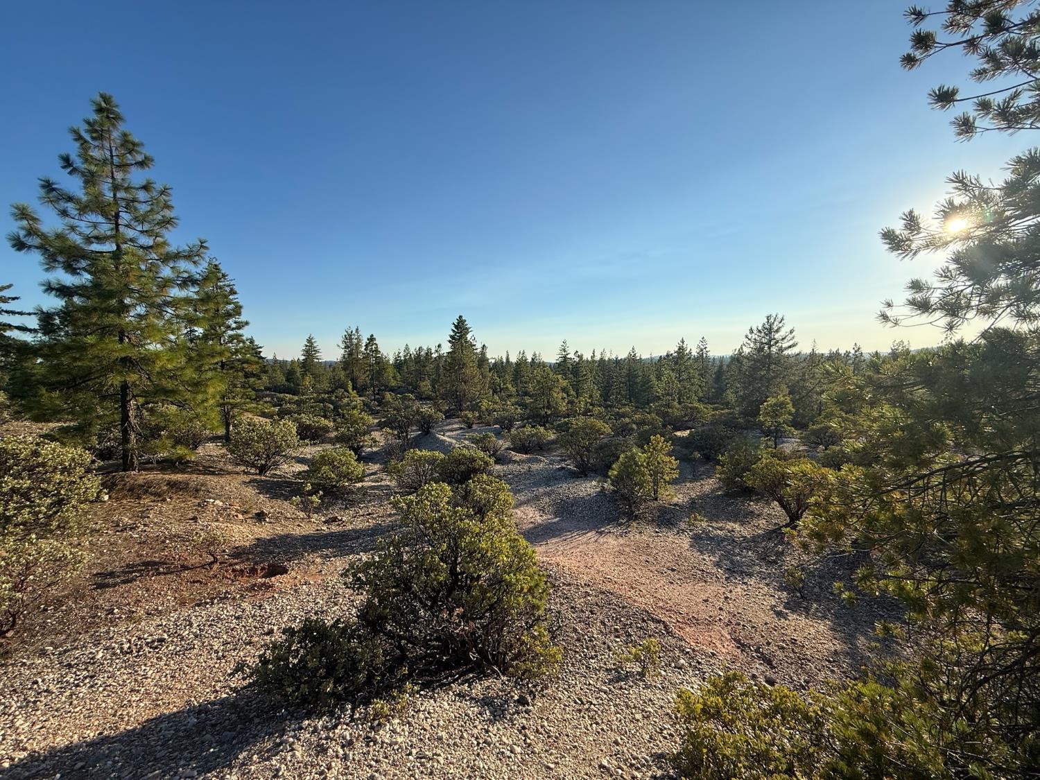 Land in Grass Valley 5